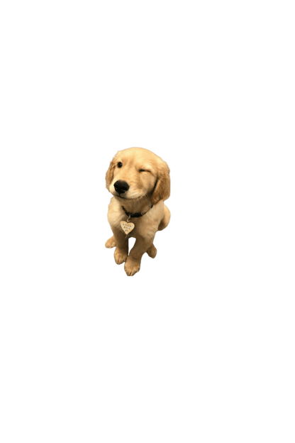 Plain Round Neck T-Shirt – Dog Hair Quote